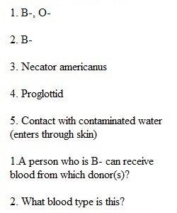 Practice Lab Exam 2